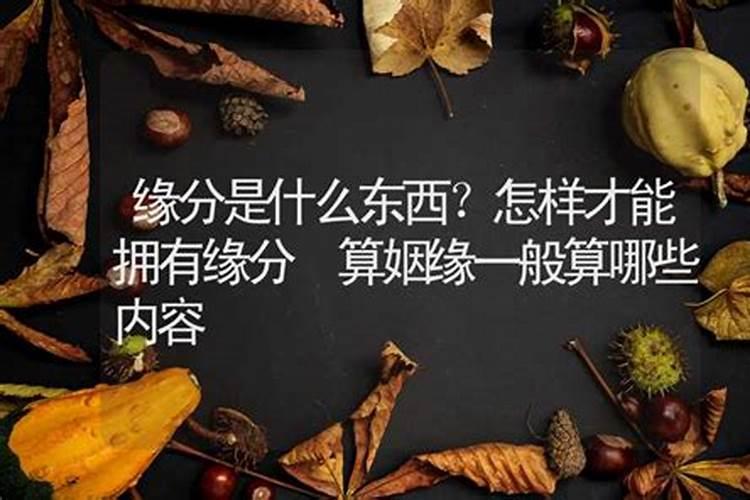 十二生肖怎么读？