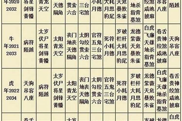 属牛人在2025年提升运势的方法
