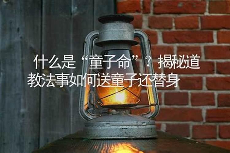 1971年的猪2025年运势如何？