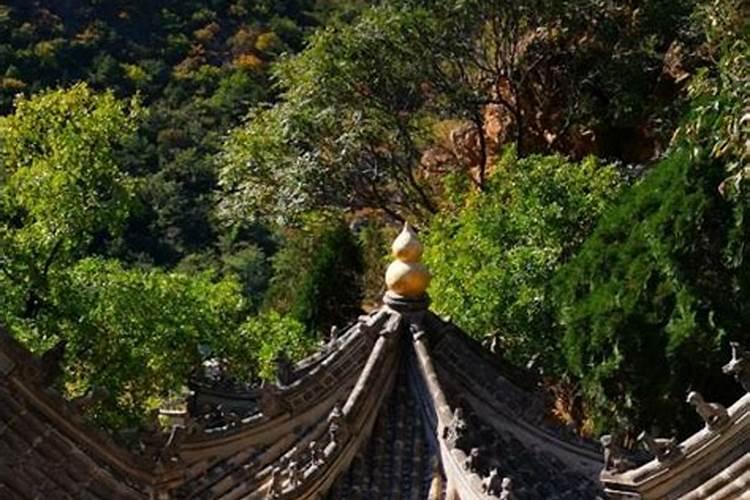 桐梓旅游圈概览:探秘这座美丽城市的文化、美食和自然风光