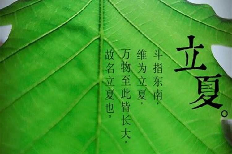 鸡猴属相婚配好吗