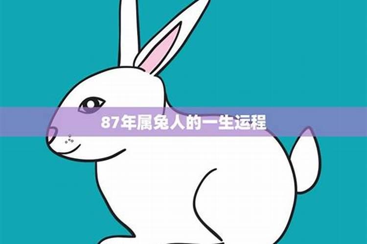 2025年2月适合理发的黄道吉日