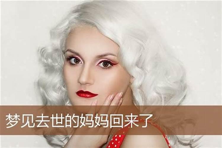1996年立春是几月几号