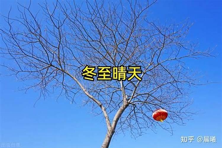 冬至交九的谚语