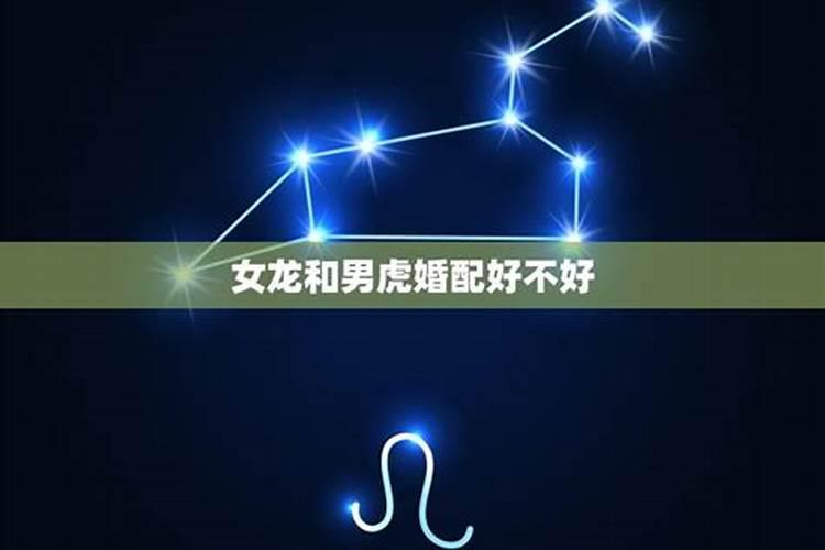 属虎男和属龙女八字合不合
