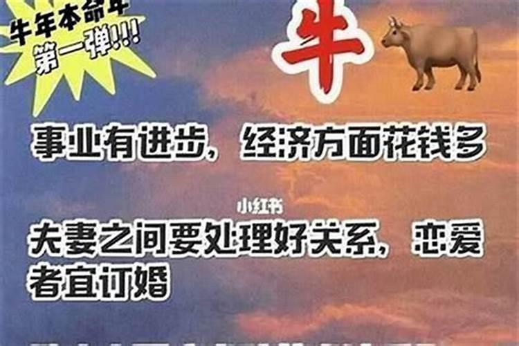 周公解梦梦见死人了是什么兆头