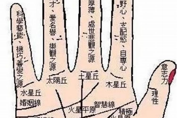 属猴的男人和属兔的女人婚姻 男猴女兔能过一辈子吗