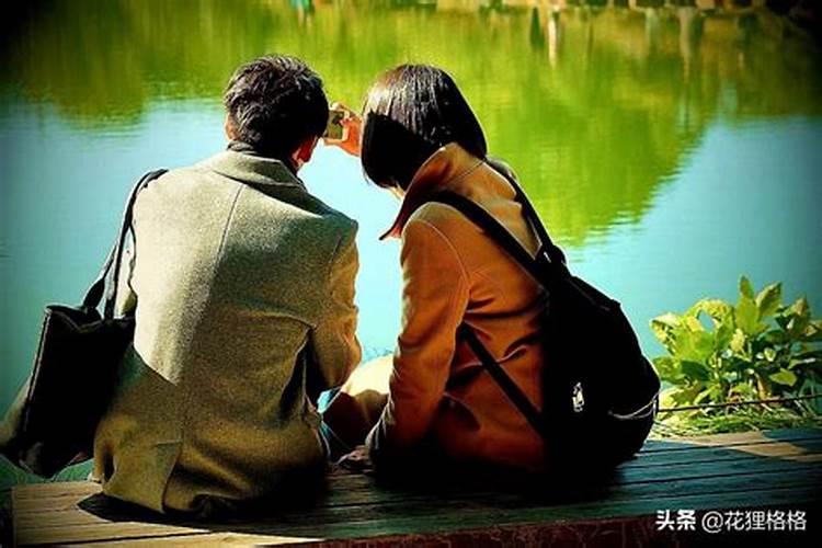 82年狗男和83年猪女适合在一起吗 婚姻怎么样