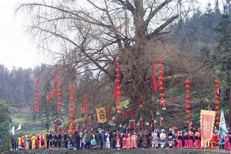 立秋有什么风俗活动