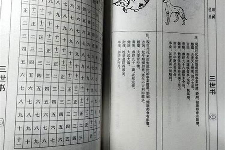 梦见梦和好多女同学一起