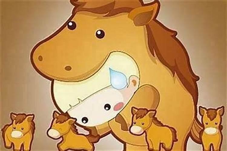 马和猪属相合不合