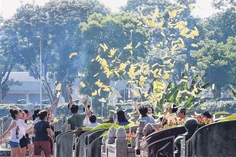 1973年2024年的牛是百年难遇 1973年出生的牛的灾难年龄分析