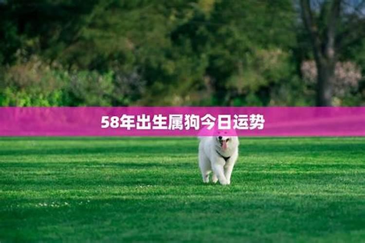 2025年属蛇犯太岁吗