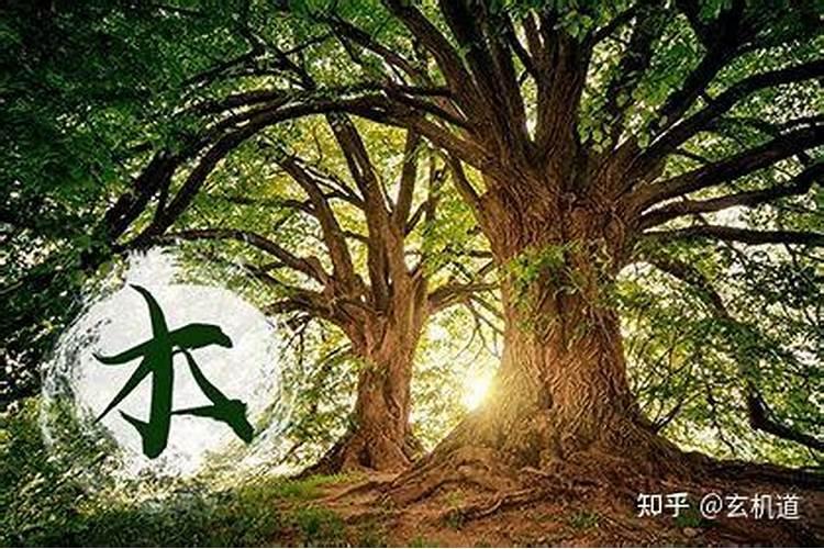 木命有几种