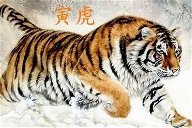 八字合是什么意思