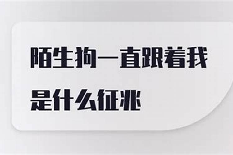 生肖蛇2025年运势及运程如何