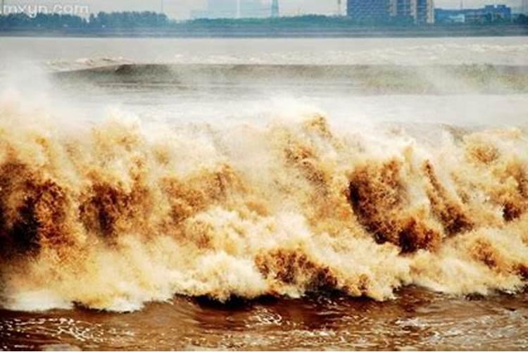 梦见有急流的洪水冲向自己的预兆