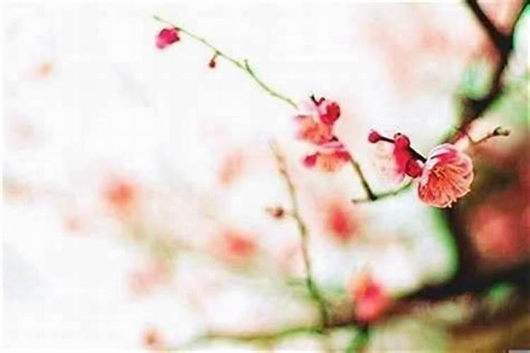 男人犯桃花怎么化解