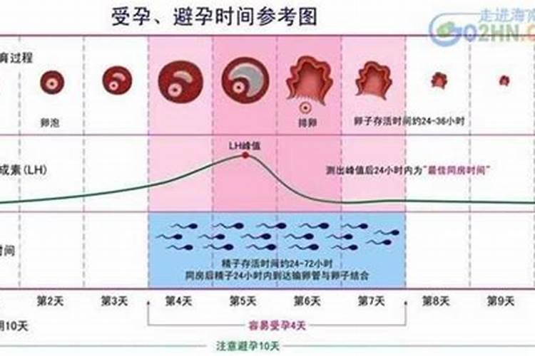 农历3月份之内怀孕的是年前生还是年后