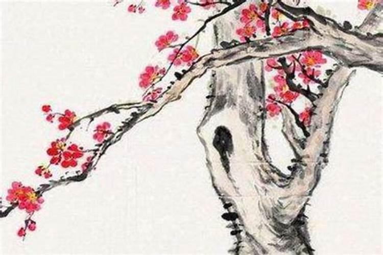 农历三月十五出生的男孩命运