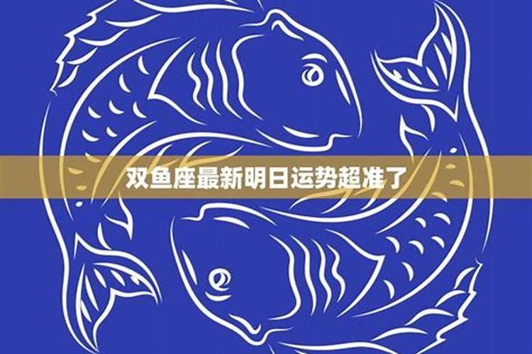 属猪的2025年破太岁如何化解