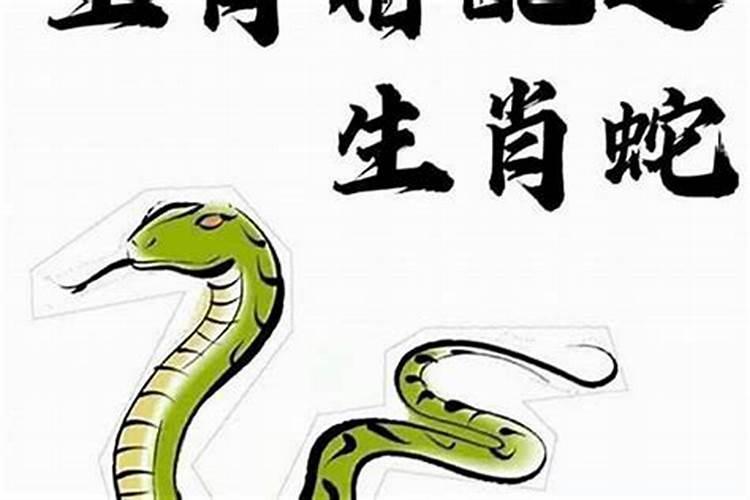 属蛇与十二生肖婚配详解表？