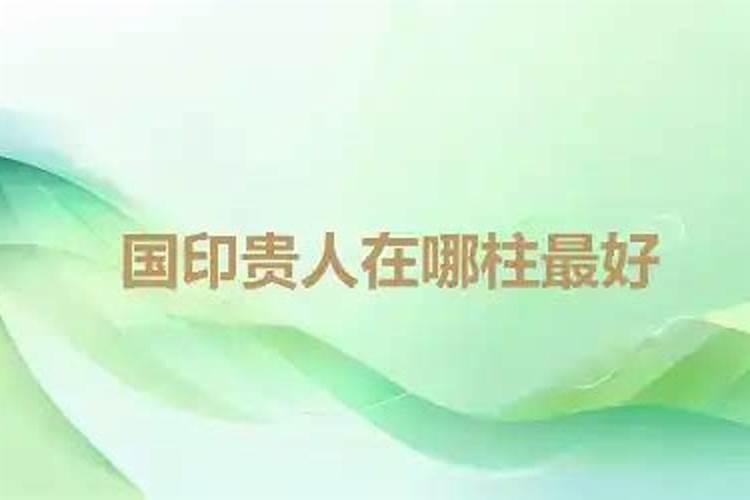 国印贵人在各柱的意思