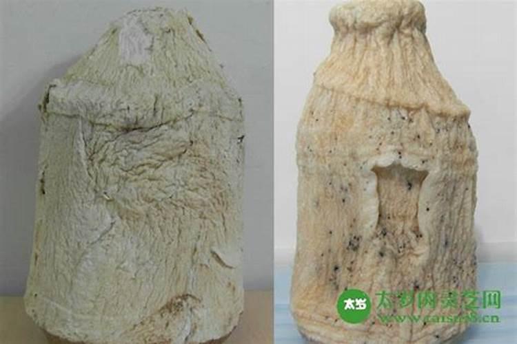 梦见朋友开车被撞但人没事的预兆