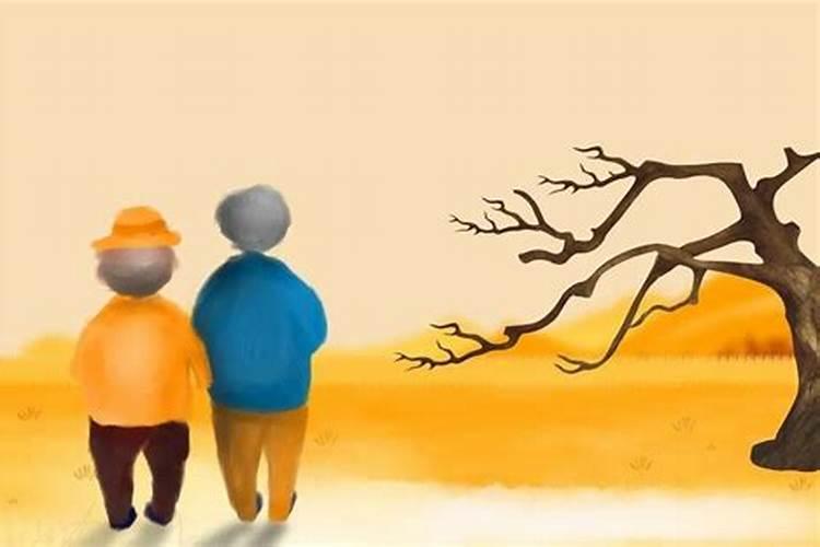 丁卯辛亥庚寅辛巳女这个八字怎样？