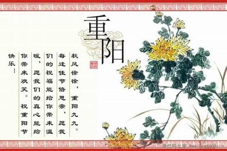 双星命格是什么意思啊