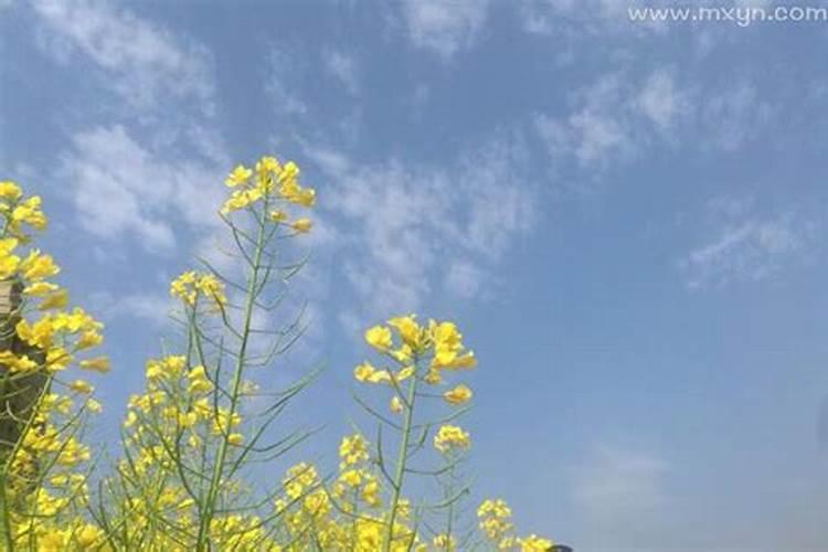 农历7月15鬼节忌讳