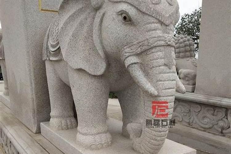 什么属相家里不能摆放大象,大象适合什么属相人