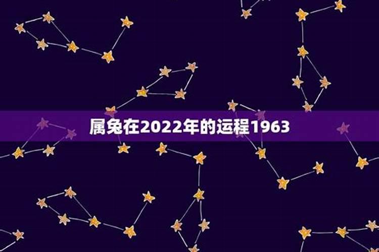 63年的兔2025年的运势怎么样