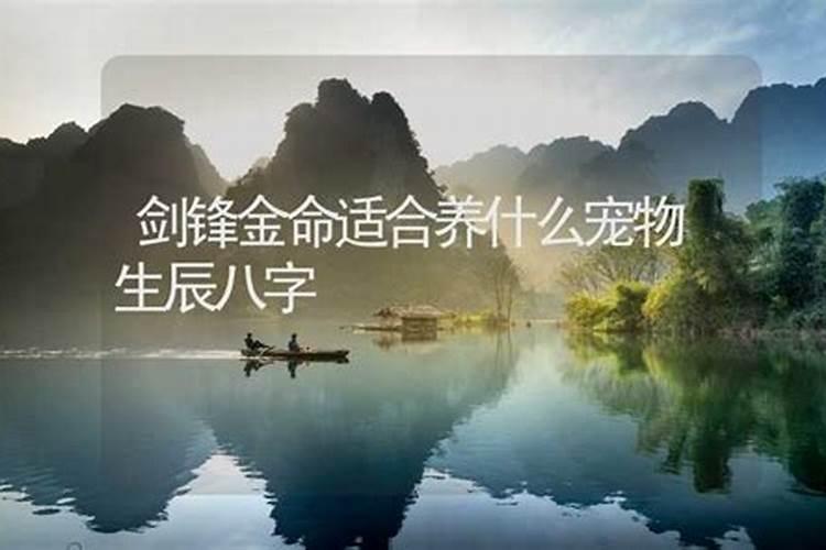 木命人命中缺水吗,可以养鱼吗,适合养鱼吗？