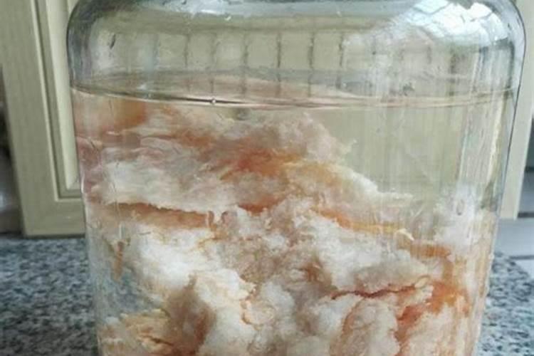太岁水的功效与作用 太岁水的功效与作用是什么