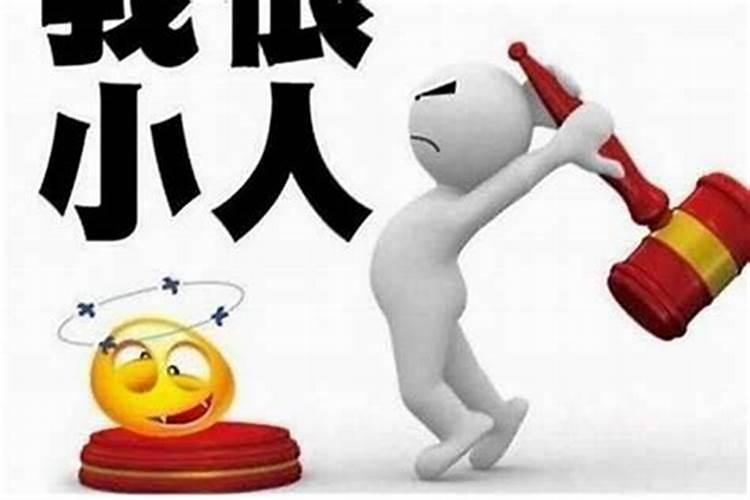 属猪的和什么属相合财 属猪的和属鼠的合财吗