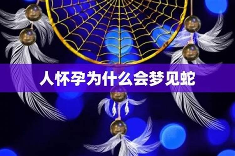 怀孕了梦见蛇是什么意思