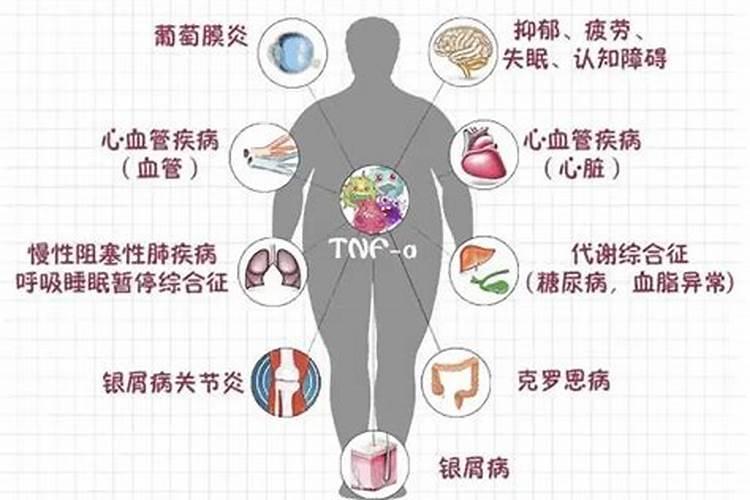 梦见种地是什么意思