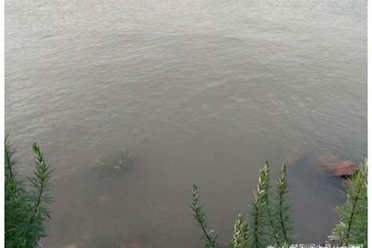 梦见水漫上公路的预兆