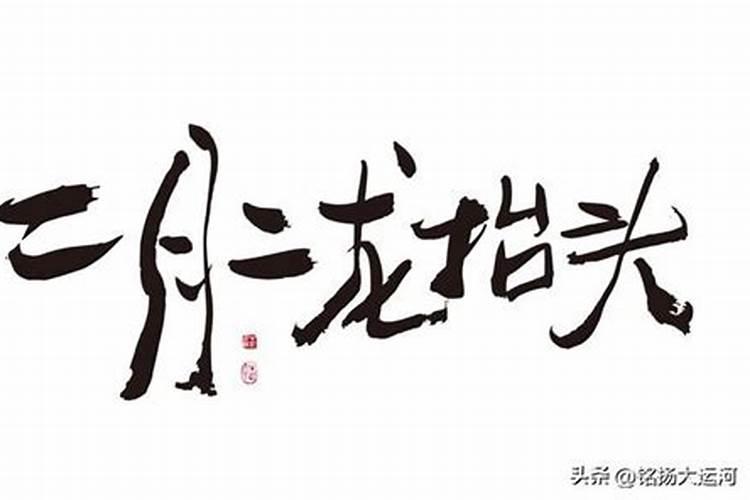 2025三九天具体时间表
