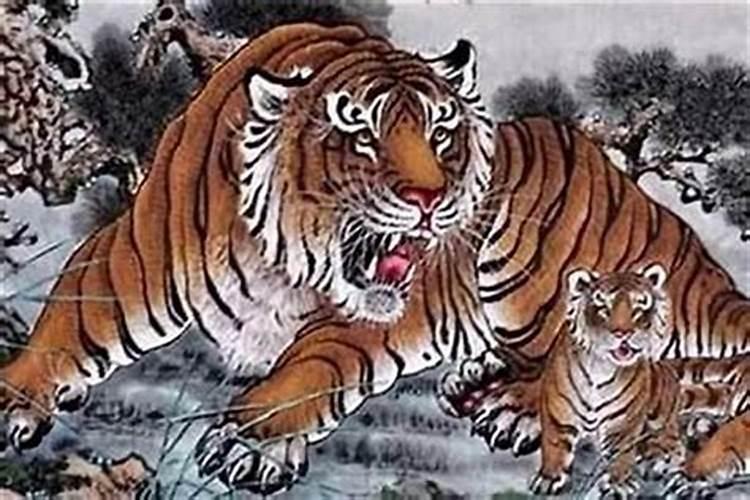 两个属虎的人在一起会幸福么？求大师给我们来看看八字,看合不合噢!