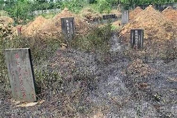 老人没过三年清明节什么时候上坟
