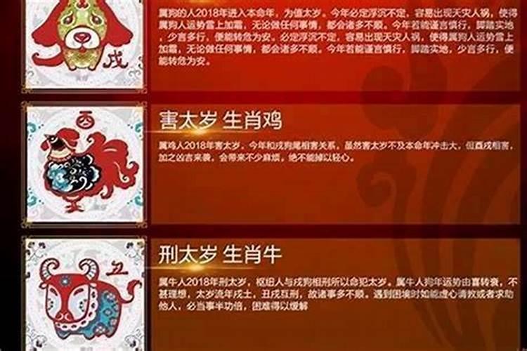 犯太岁年不见得一定运势不好