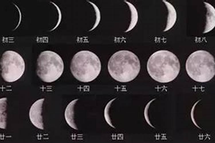 生肖猪1983年2025年运势如何 生肖猪1983年2025年全年运势