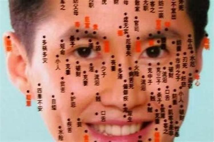 2025属蛇的全年运势运程 属蛇人2025年每月运势