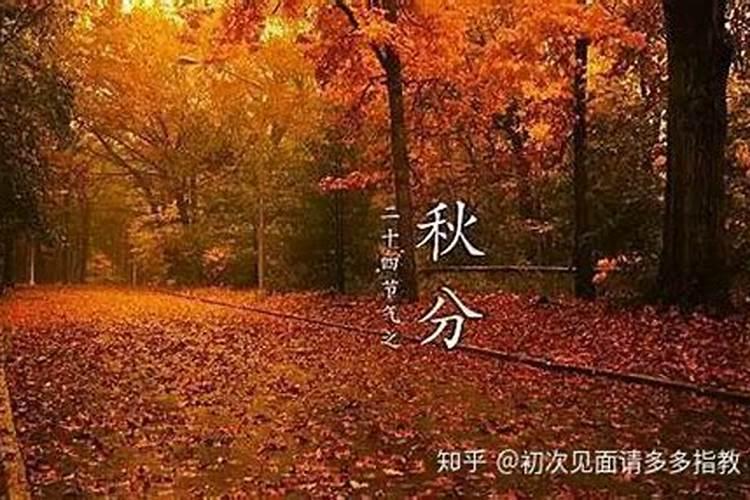详解春分秋分夏至冬至示意图