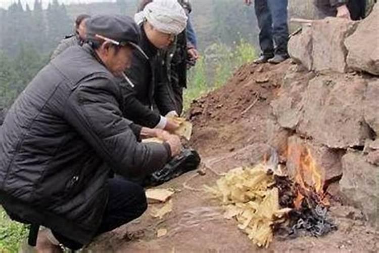 2025属猪人每月运势及运程如何