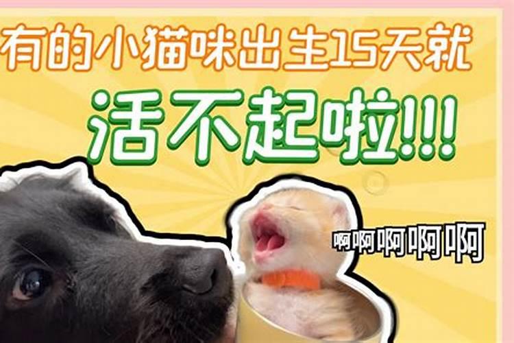 梦见给仇人打工是什么意思？
