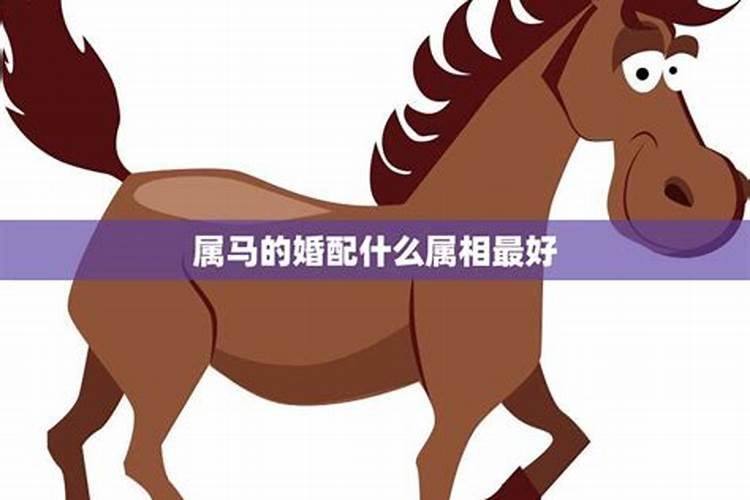 属马最佳婚配前十名属相,属马配什么属相最好