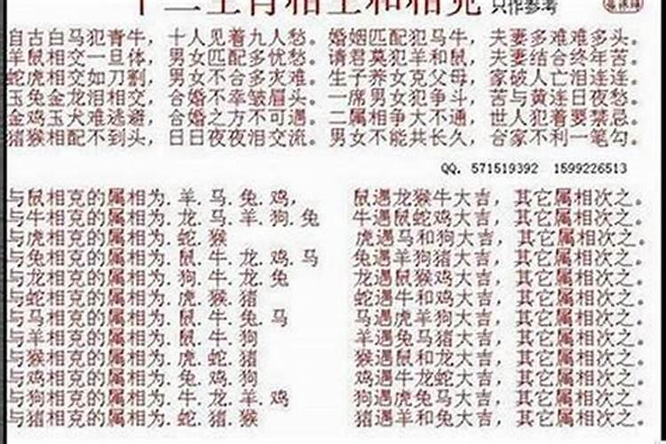 男狗女龙在一起特别好 为什么感情不合